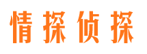 上甘岭市侦探公司